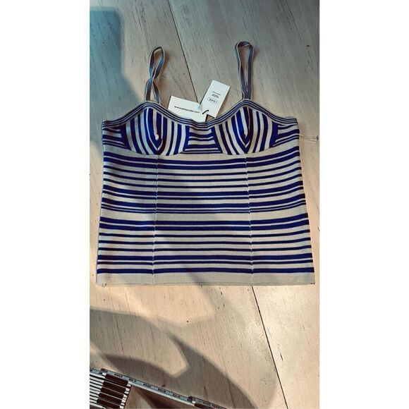 CIDER Tops - CIDER BLUE STRIPE CORSET TANK TOP WOMENS SZ L NEW